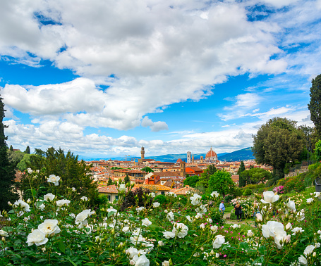 FLORENCE, ITALY - MAY 12, 2019: A magical view of Florence from the rose garden ( Giardino delle Rose )