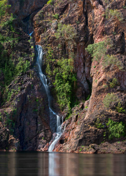 водопад ванги, национальный парк личфилд - wangi falls стоковые фото и изображения