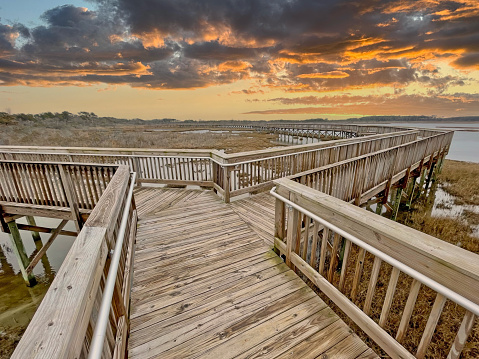 A wooden wildlife viewing boardwalk across the dune grasses and flowers at Chincoteague National Wildlife Refuge in Virginia. The white sands of the shore are just visible under the gray clouds looming overhead.