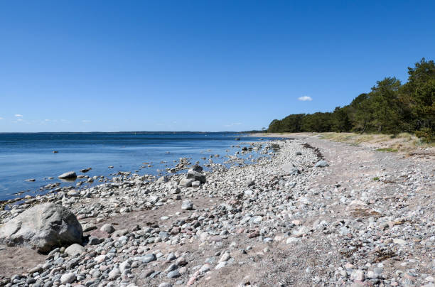 istock Scenic view of beach against clear blue sky 1485849186