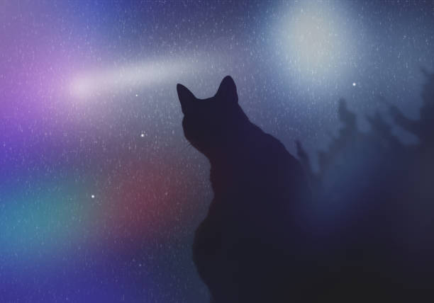 silhouetted cat staring a night sky with falling stars and moon
