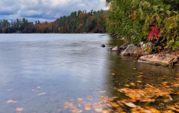 istock kawartha lakes with fall leaves on water 1485851628