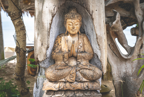 San Agustin, Colombia: A mysterious statue of a male person stands in the rainforest next to an old tree with large roots. The statues of San Agustin are a mystery to historians.