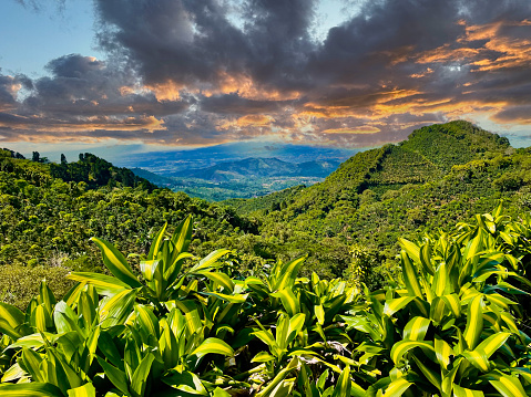 Green mountains and hills with trees and grass high in the Caribbean mountains.