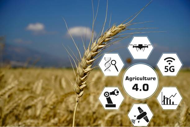 istock Smart agriculture 4.0 concept. Agricultural production. 1485863190