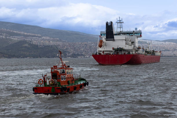 istock Tug is guiding to the red container ship 1485867527
