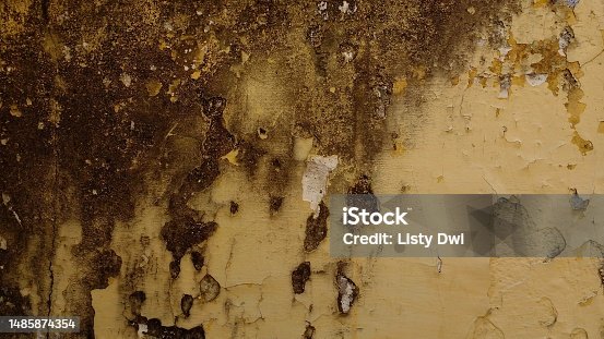 istock Yellow walls that have faded, mossy and peeled off. 1485874354