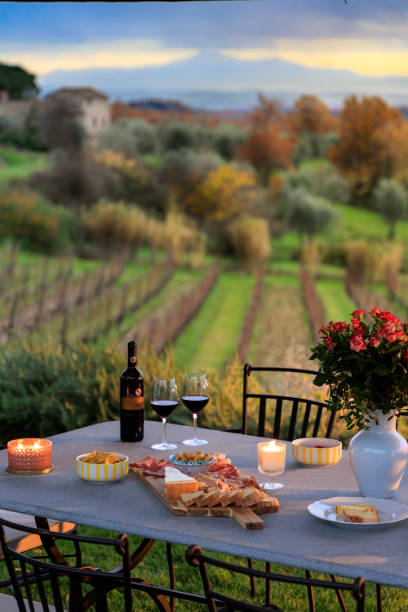 Outdoor table, wine appetizer with vineyard background in Italy Charcuterie appetizer board Outdoor table with vineyard background in Italy golden hour wine stock pictures, royalty-free photos & images