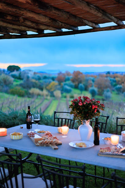 Outdoor table with vineyard background in Italy Charcuterie appetizer board Outdoor table with vineyard background in Italy golden hour wine stock pictures, royalty-free photos & images