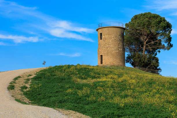 istock Old Mill in Bibbona, Tuscany 1485875030