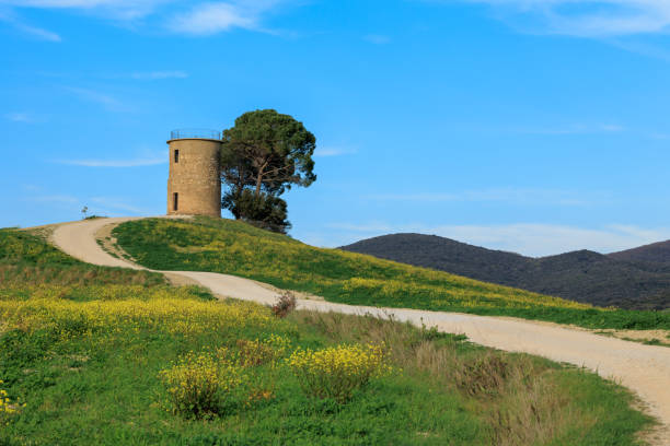 istock Old Mill in Bibbona, Tuscany 1485875032