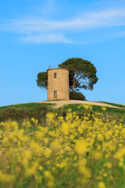Old Mill in Bibbona, Tuscany