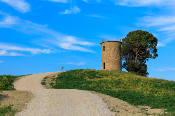 istock Old Mill in Bibbona, Tuscany 1485875057