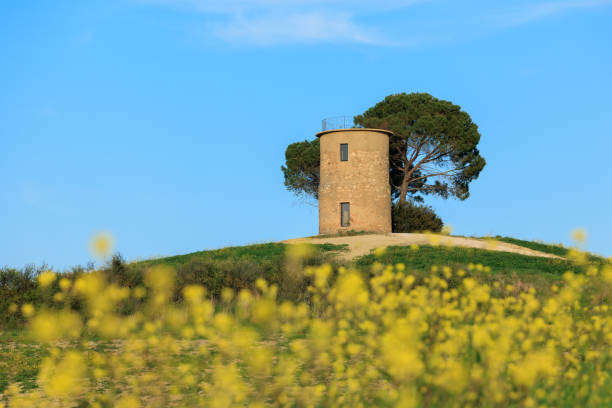 istock Old Mill in Bibbona, Tuscany 1485875058