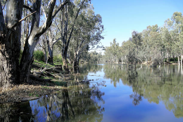 istock Echuca, Victoria, Australia 1485880858