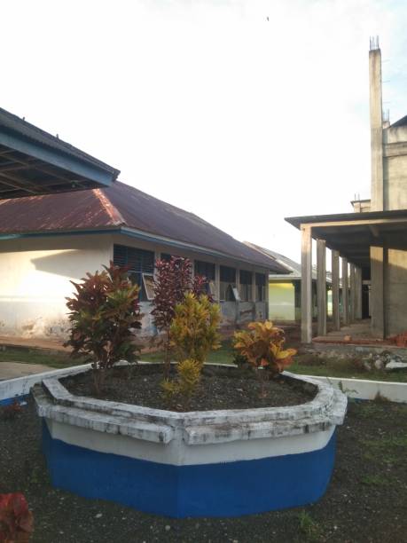 istock puring ornamental plant family 1485888881