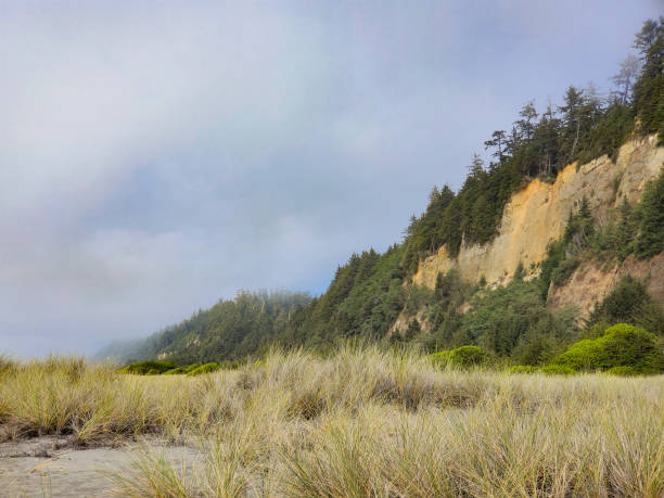 220+ Fotos, Bilder und lizenzfreie Bilder zu Del Norte Coast Staatspark
