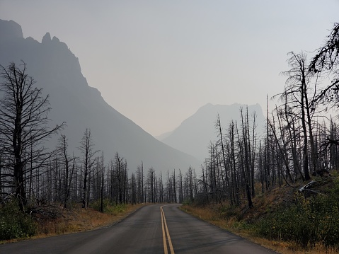 This is a photograph taken on a mobile phone outdoors of burned trees after a forest fire with a smoky sky over the road to the sun in Glacier National Park, Montana during autumn of 2020.