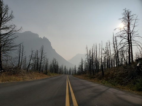 This is a photograph taken on a mobile phone outdoors of burned trees after a forest fire with a smoky sky over the road to the sun in Glacier National Park, Montana during autumn of 2020.