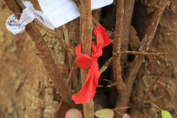 Red cloth tied up on Bo tree branch as a symbol of Buddhist faith