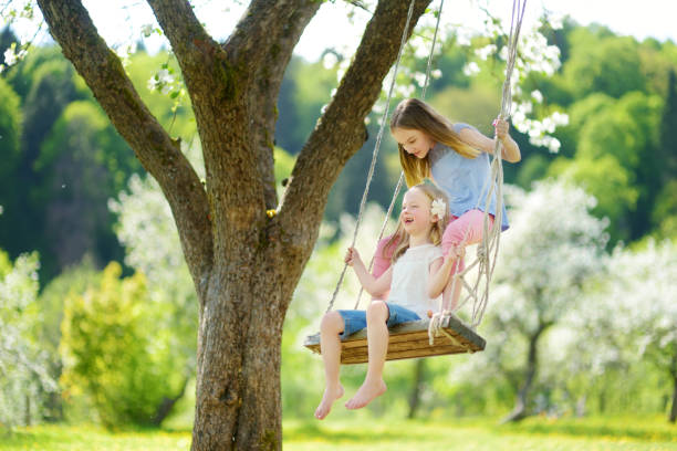 istock Two cute sisters having fun on a swing in blossoming old apple tree garden outdoors on sunny spring day. 1485920839