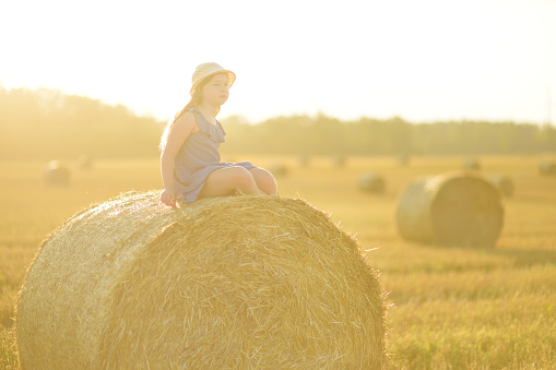 Adorable young girl having fun in a wheat field on a summer day. Child playing at hay bale field during harvest time. Kid enjoying warm sunset outdoors. Harvesting crops in Lithuania.