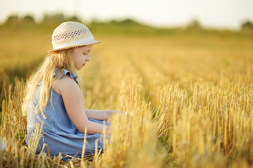 Adorable young girl having fun in a wheat field on a summer day. Kid enjoying warm sunset outdoors. Harvesting crops in Lithuania.