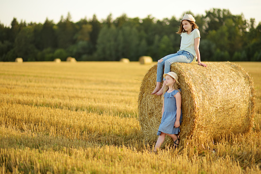 Adorable young sisters having fun in a wheat field on a summer day. Children playing at hay bale field during harvest time. Kids enjoying warm sunset outdoors. Harvesting crops in Lithuania.