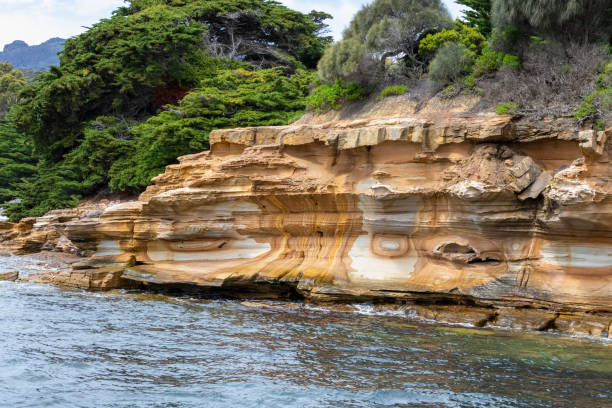 istock Maria Island, Tasmania, Australia 1485923892