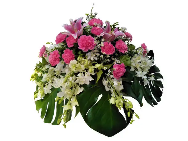 clipping paths bouquet,orchid,carnation and margarite for decorative in wedding or valentine isolated on white background,flower colorful pink and white