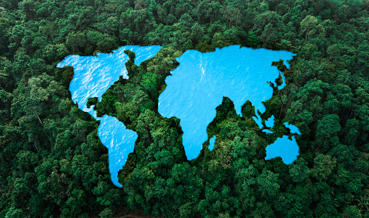 Aerial view of green forest with land and water. Demonstrate the concept of conservation of ecosystems and nature. air pollution and save the planet