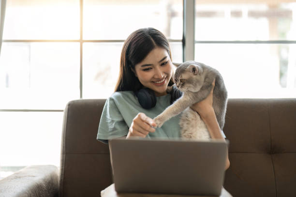 istock young woman working on laptop at home, cute small cat besides. work from home 1485938953