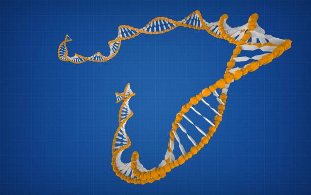 istock Concept of biochemistry with DNA Structure isolated. 1485943307