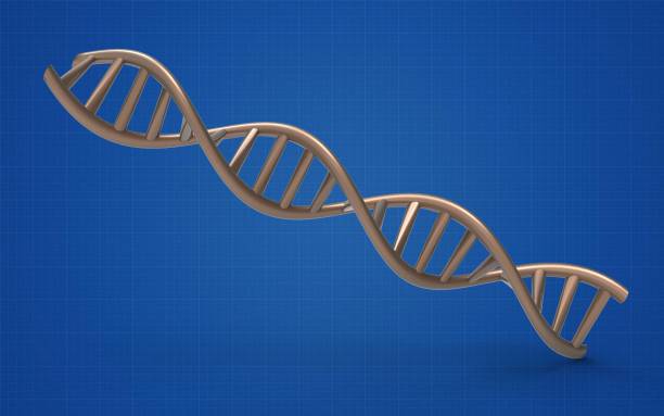 istock Concept of biochemistry with DNA Structure isolated. 1485943626