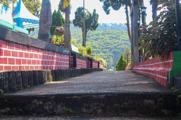 istock a garden road in a tourist spot 1485944457