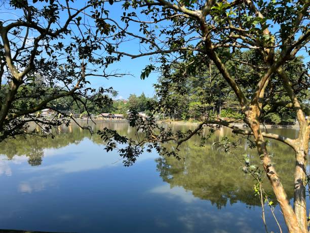 istock A beautiful view of the lake 1485958267
