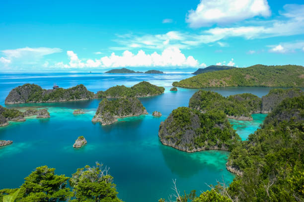 istock Piaynemo Beach in Raja Ampat Indonesia 1485961886