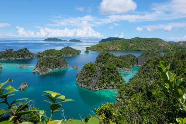 istock Piaynemo Beach in Raja Ampat Indonesia 1485961933