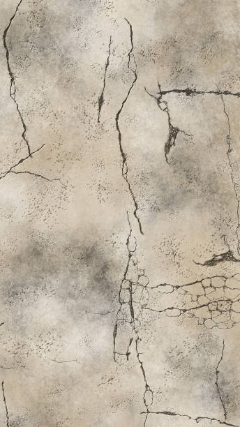 ilustrações de stock, clip art, desenhos animados e ícones de [vertical]cracked and decaying white walls - rotting decline backgrounds wall
