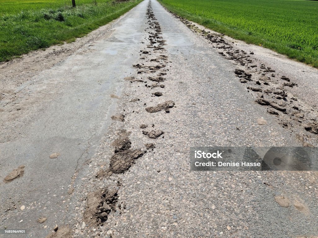 Dirty road on the highway in Dessau Rosslau, Saxony-Anhalt, Germany 2023 Agricultural Field Stock Photo