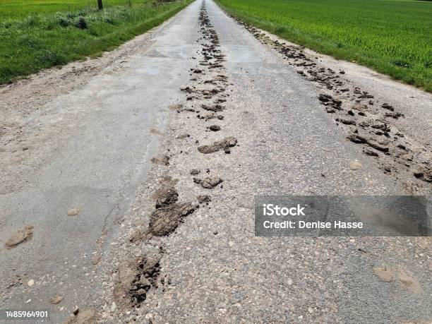 Dirty Road On The Highway In Dessau Rosslau Saxonyanhalt Germany 2023 Stock Photo - Download Image Now