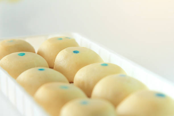 clipping paths with close up group mochi dessert in dish isolated on white background,moji dessert sweet for eating with coffee or tea,breakfast healthy food eat with a drink.