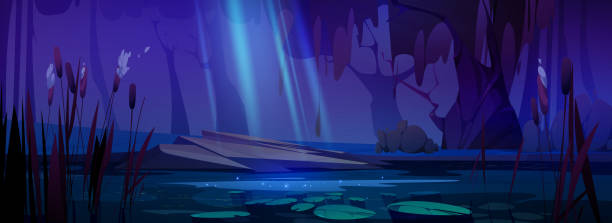 ilustrações de stock, clip art, desenhos animados e ícones de cartoon pond with cattails at night - rainforest tropical rainforest forest moonlight