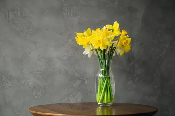 istock Yellow Daffodils in a Glass Vase on a Table Against a Gray Wall. 1485974172