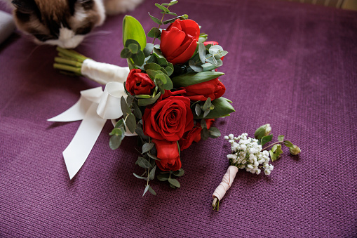 Red and pink rose flowers with eucalyptus leaves in a corner arrangement isolated on white background. Flat lay. Top view.