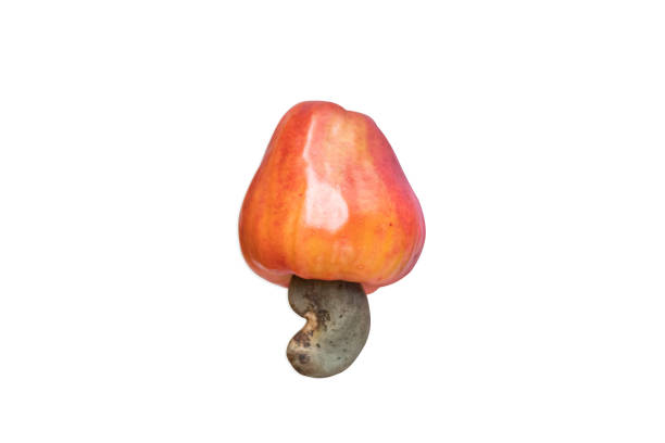 istock fruit of cashew 1485979224