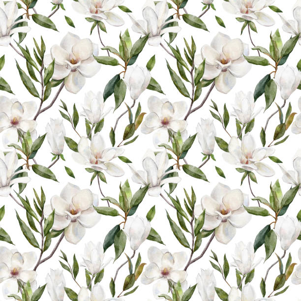 ilustrações de stock, clip art, desenhos animados e ícones de watercolor botanical seamless pattern with white magnolia flowers - magnolia blossom