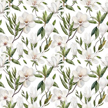 Watercolor botanical seamless pattern with white Magnolia flowers
