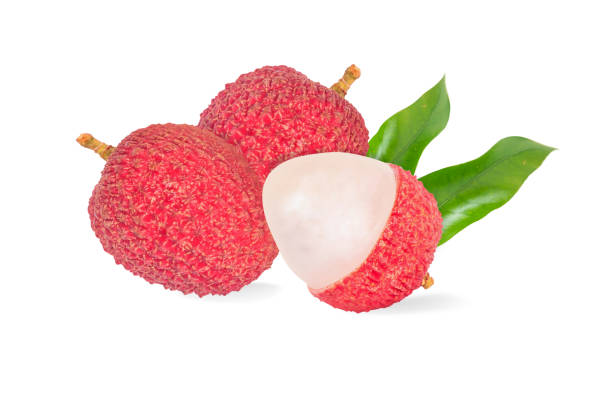 istock Fresh ripe lychee tropical fruit isolated on white background 1485983682
