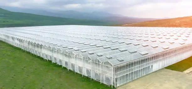 Aerial view industrial agricultural greenhouses for growing. Greenhouse industrial exterior. Food farming industry with giant buildings. Drone view on industrial modern glasshouse.